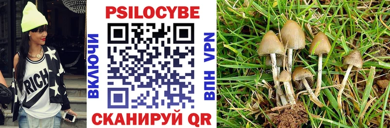 Галлюциногенные грибы Cubensis  Кущёвская 